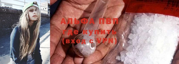 крисы Бородино