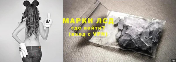 крисы Бородино