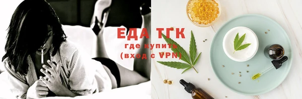 крисы Бородино