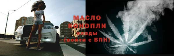 крисы Бородино