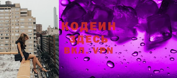 крисы Бородино