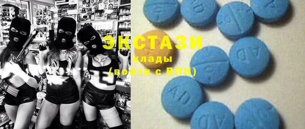 крисы Бородино