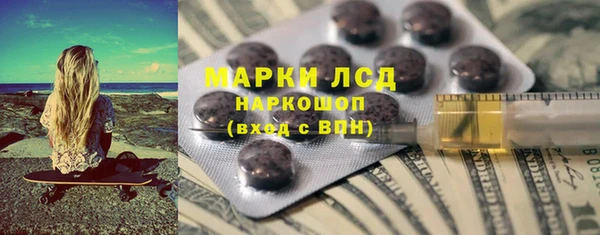 крисы Бородино