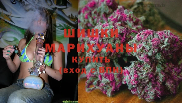 крисы Бородино