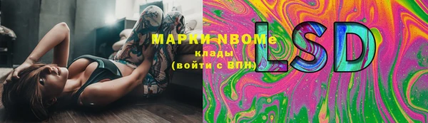 крисы Бородино